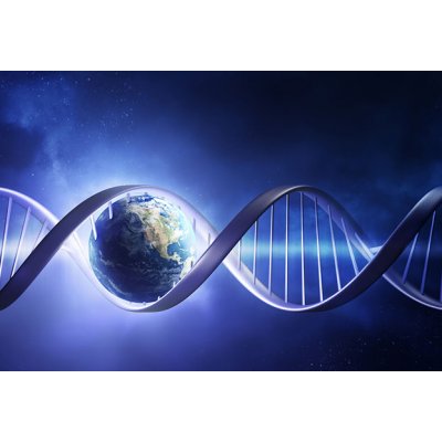 Scientists have explained why many hereditary diseases are difficult to eradicate