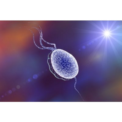 New drug for trichomoniasis treatment 